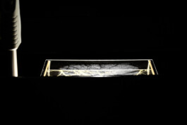  Ausstellungsgestaltung von studio neospektiv, Düsseldorf.